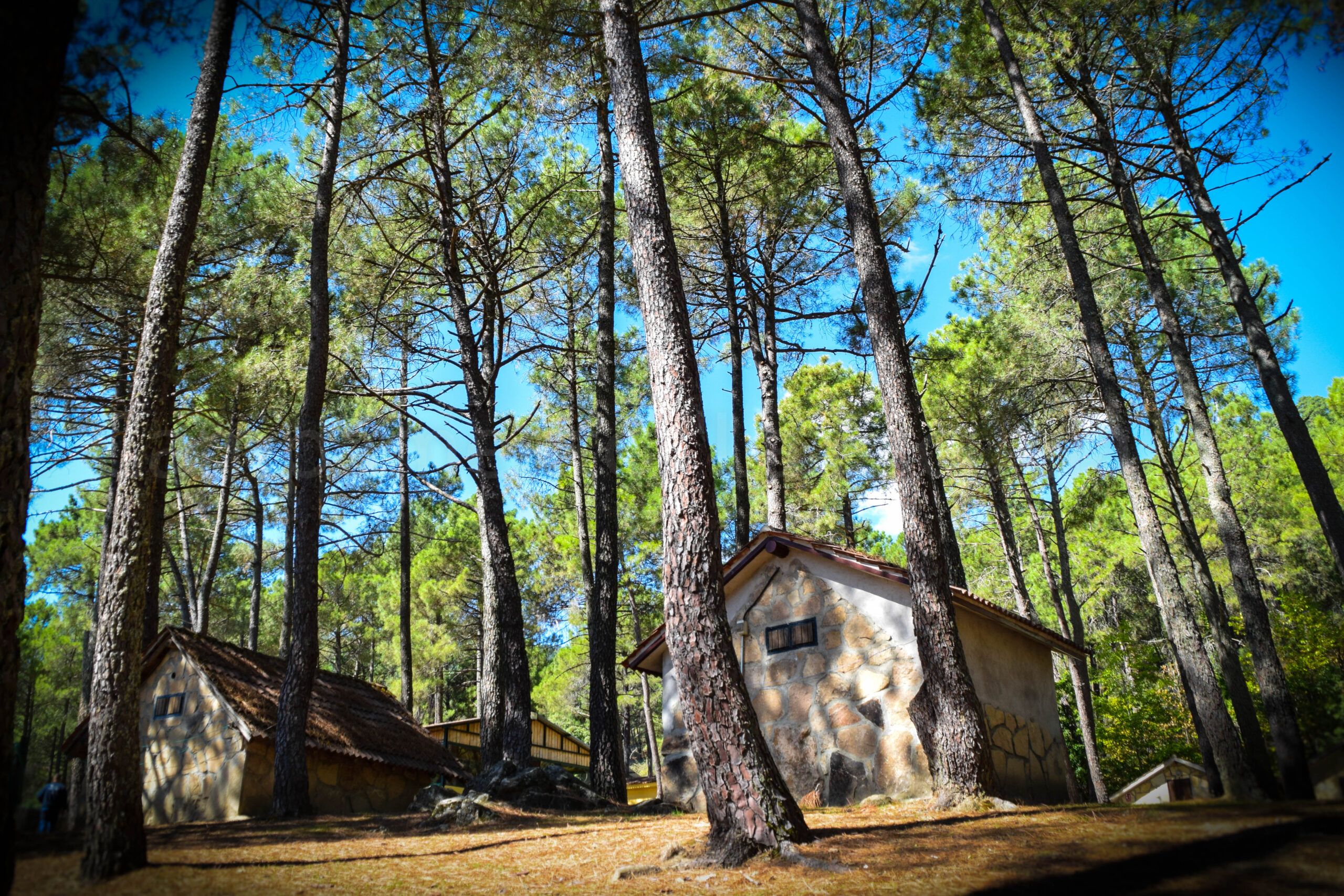 Cabañas Campamento Piedralaves Sierra de Gredos